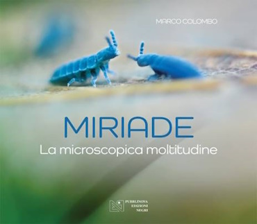 miriade fronte