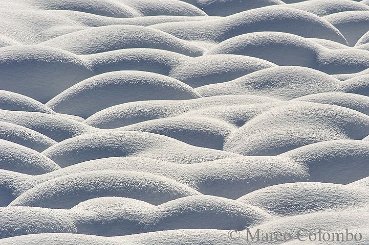 Al momento stai visualizzando Dune di neve