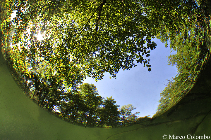 Al momento stai visualizzando Il mondo del fango