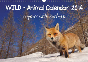 animalcalendar 1 1