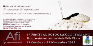 festivalfotograficoitaliano 1