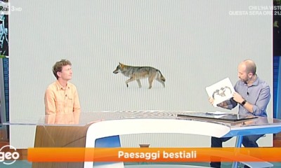 paesaggibestiali20-1.jpg