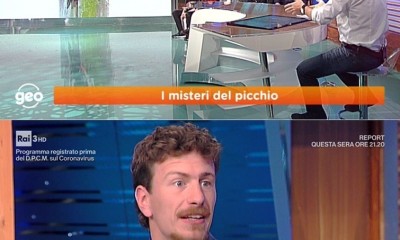 picchi-1.jpg