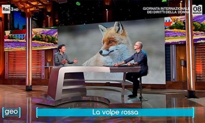 rai3 geo 08-03-2024