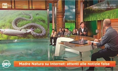 socialnatura-1.jpg